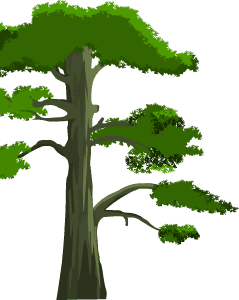 松树沙雕动画素材_沙雕动画素材网